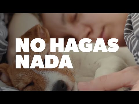 NaranjaX - Campaña Cuenta Remunerada - Perrito