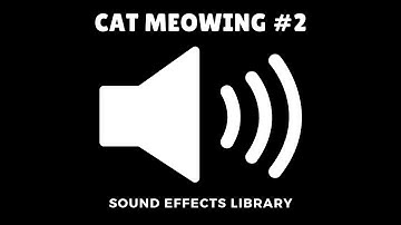 Cat Meowing #2 Sound Effect [Download Link]