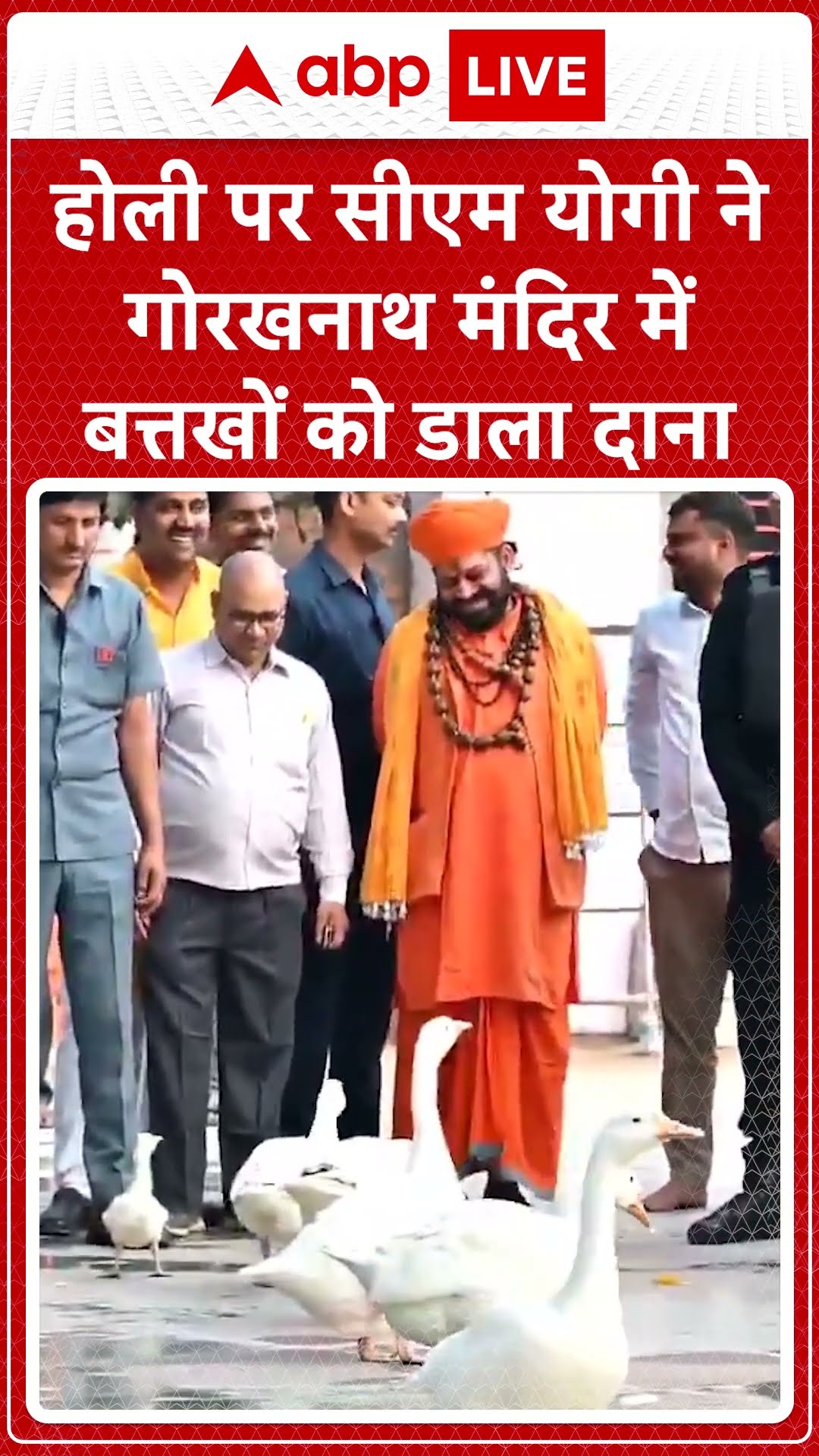 Holi 2025: होली पर सीएम योगी ने गोरखनाथ मंदिर में बत्तखों को डाला दाना | ABP NEWS SHORTS