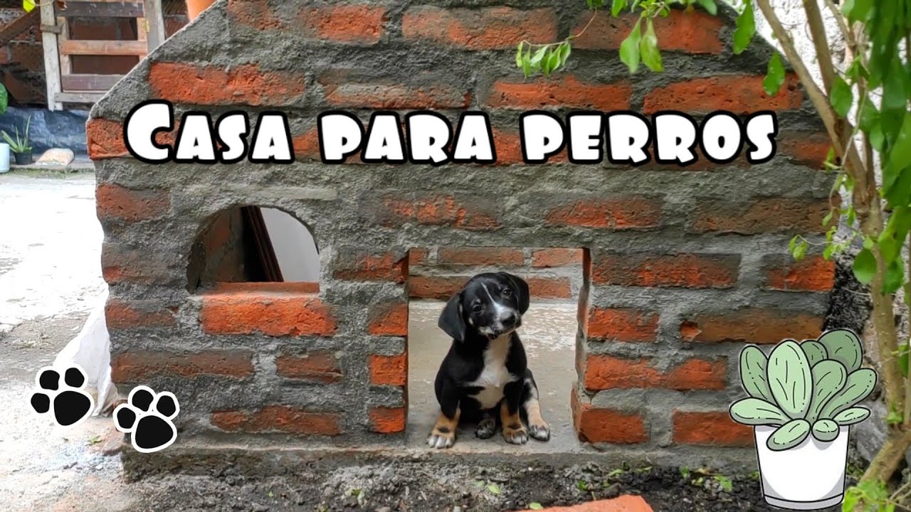 LA MEJOR CASA CAMPESTRE PARA PERROS/ Así es la casa de Maxx - YouTube