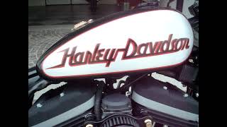 HARLEY DAVIDSON SPORTSTER 883 R SPECIAL ROBERTO ROSSI by ZANIMOTOR
