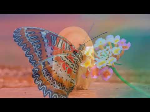 Joni Mitchell. The Circle Game (HD 1440)