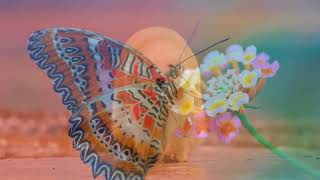 Joni Mitchell. The Circle Game (HD 1440)