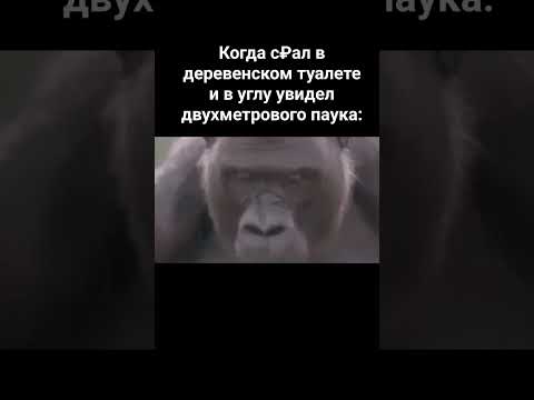 #жиза #meme #memes