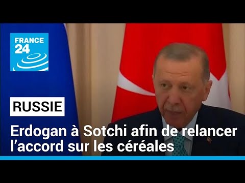 Erdogan en Russie afin de relancer l’accord sur les céréales • FRANCE 24