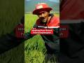 Banyak Petani Mengeluh Karena Hal Ini