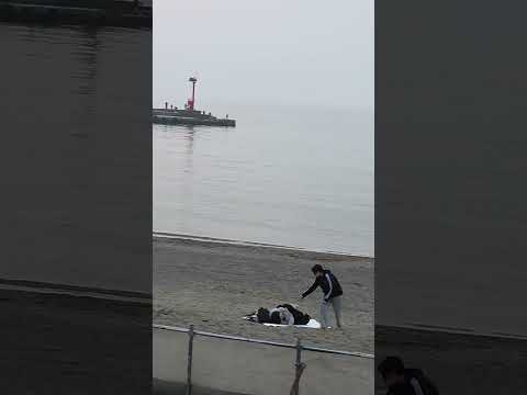 헬로제주#지금 이시간. 이호바닷가 픙경#short