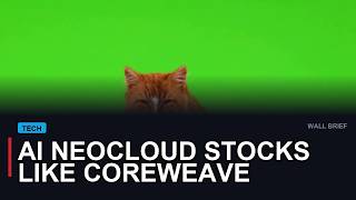Why AI Neocloud Stocks Like CoreWeave and Nebius Are Falling Hard
