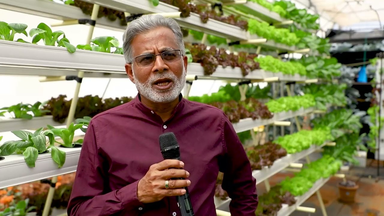 Hydroponic in ICAR-IIHR Bengaluru