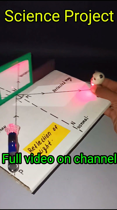 Reflection of Light Science Project #youtubeshorts #shorts #short #shortvideo