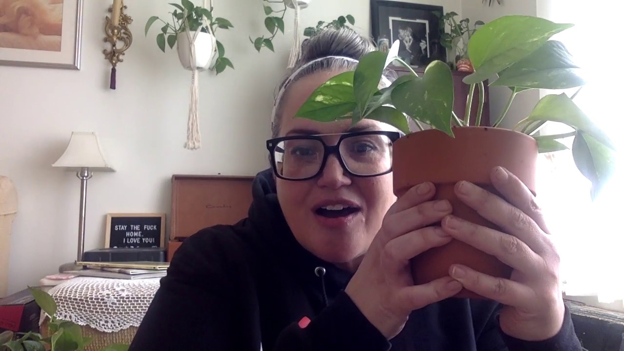 What the F* Are We Doing? w/ kitty wu on SolTV Week 4