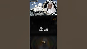 الحافظ وليد ابراهيم ماتيسر من سورة الانفال