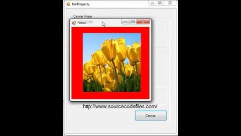 VB.NET - Canvas Image