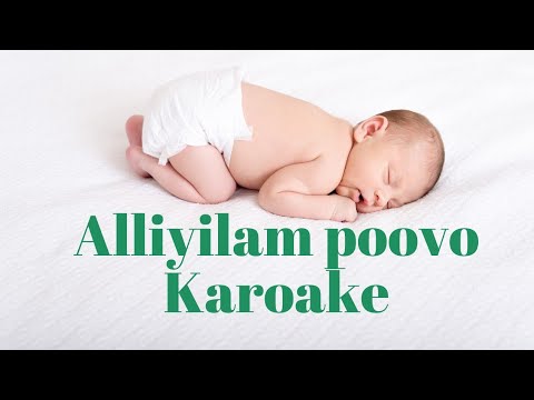 Alliyilam Poovo Illimulam Theno   Malayalam Karoake with synced lyrics  alliyilampoovo  karoake