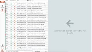 Celebrity HTTP Toolkit demo Profile