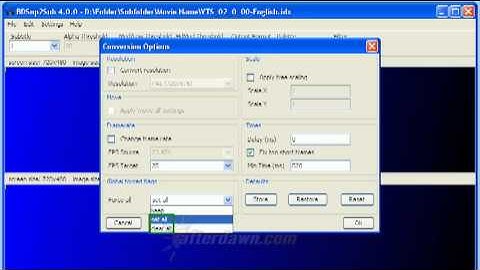 BDSup2Sub Conversion Options