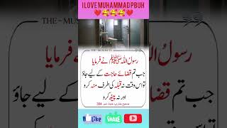 Islamic Lessons ❤️ Islamic Videos 🥰 Islamic Knowledge 🤲 #youtubeshorts #allbayan #shorts #fyp #fyp