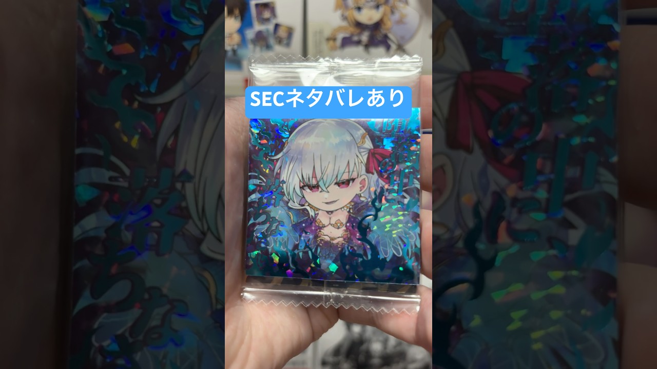全43種(45種)コンプ‼️ シールウエハース にふぉるめーしょん #fgo