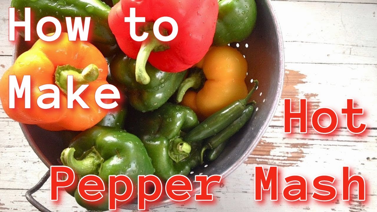How to Make Hot Pepper Mash YouTube