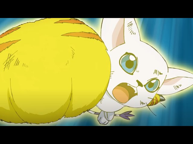 Hikari y Gatomon  Digimon adventure tri, Digimon adventure, Digimon