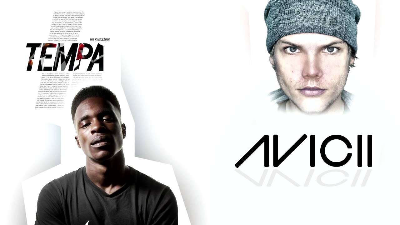Avicii Levels VS Tempa T Next Hype (Levels Reverse Mix) YouTube