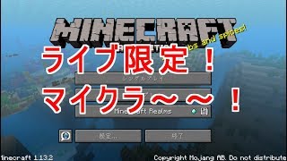 【マイクラ】サバイバルやで！＊2時間半でたくさんアイテムロスした！ｗ