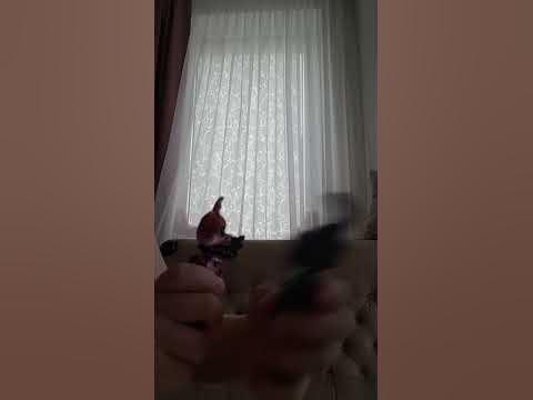 ПАПА и заяц - YouTube