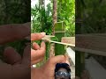 #bamboo #bamboo1 #birds #birds #funny #bambooart #hunting #diy #photography #experiment #nature