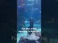 Fun day at the aquarium