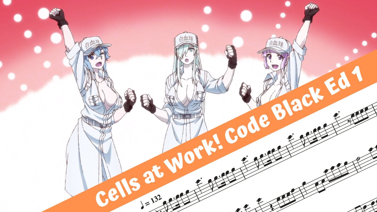 Primeira imagem promocional do anime de Cells at Work! Code Black