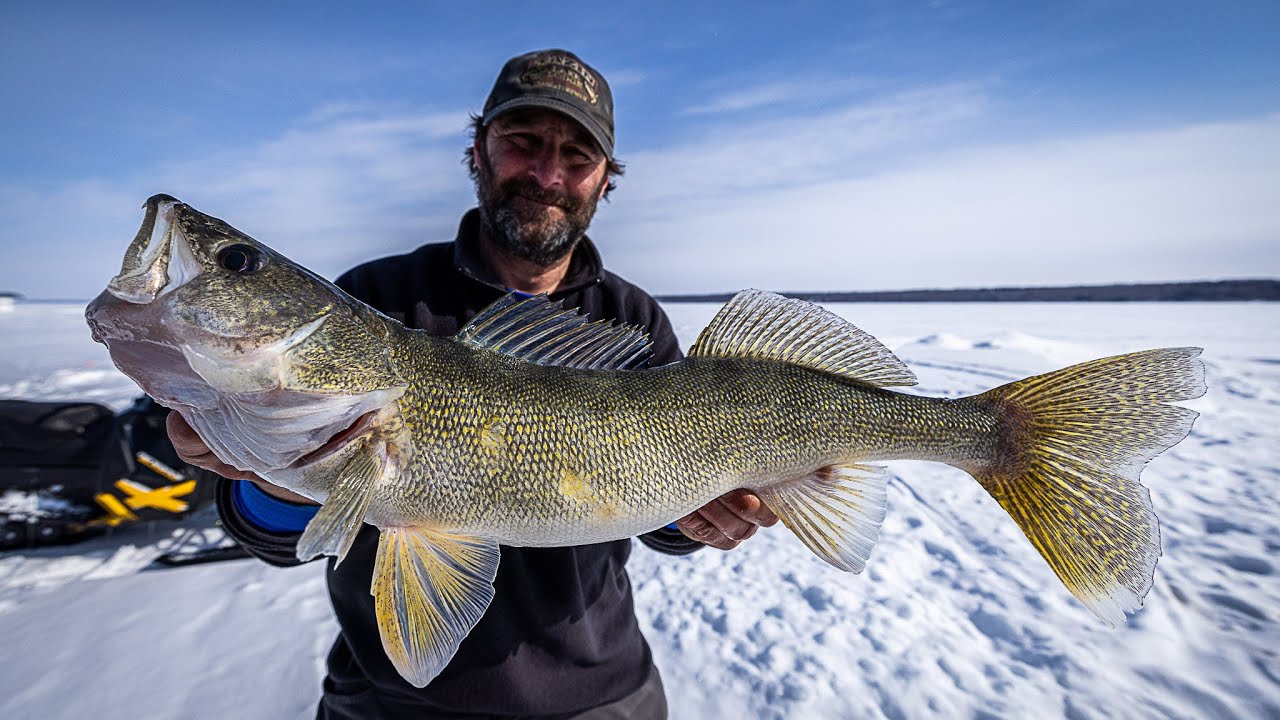 Ice Fishing For Big Walleyes and Pike in Northern Canada 