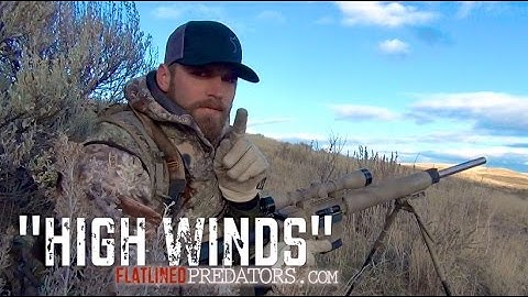 Eastern Oregon Coyote Hunting "High Winds"  Flatlined Predators