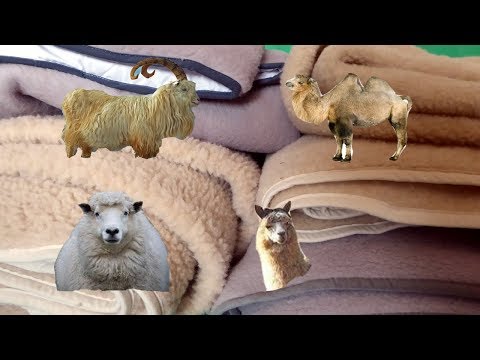 4 mantas de lana: merino, camello, alpaca, cachemira