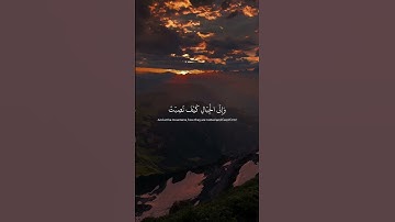 افلا ينظرون إلا الإبل كيف خلقت l عبدالرحمن مسعد l سورة الغاشية