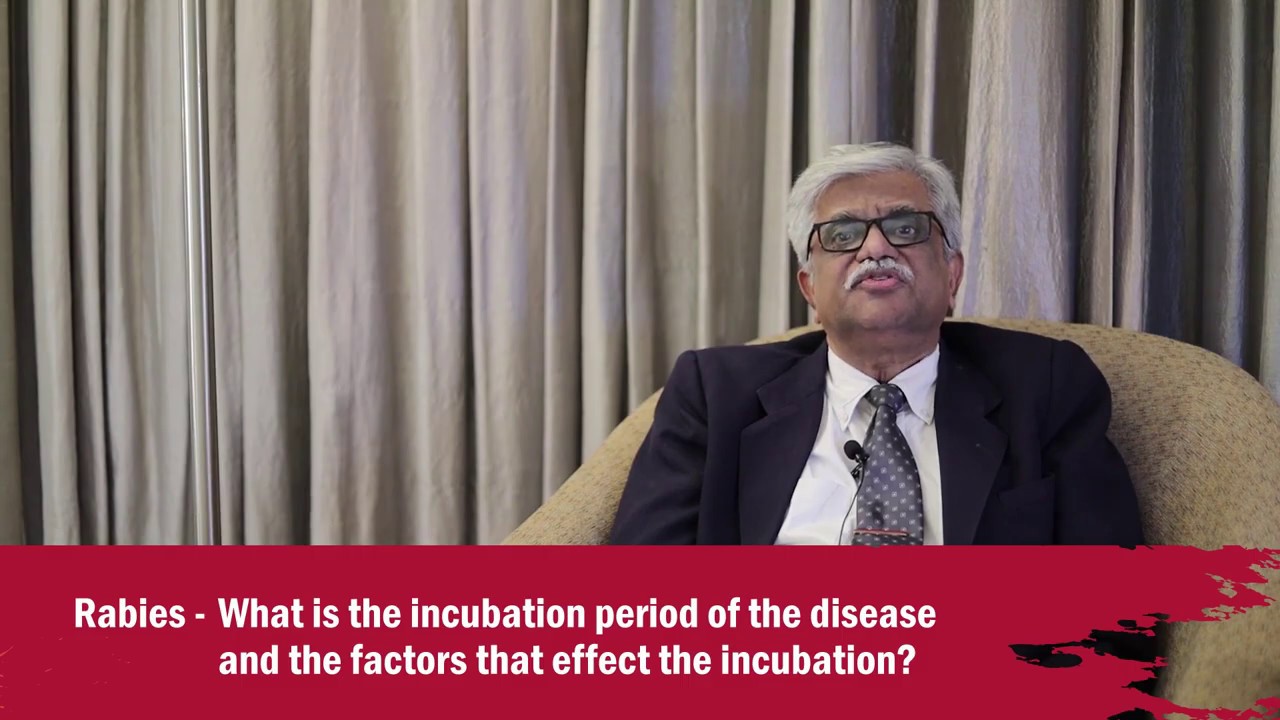 Rabies - What Is The Incubation Period Of The Disease And The Factors That Effect The Incubation?