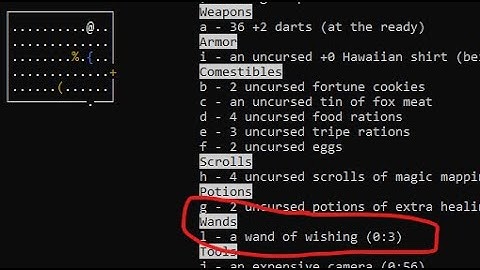 Concise Nethack: Wizard Mode