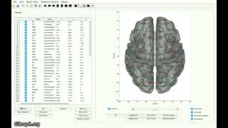 Brain Atlas 1.0.0 screenshot 2