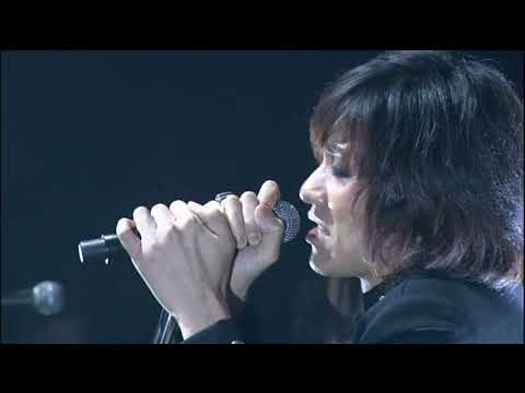 TALI  - 吉井和哉(TOUR 2006  MY FOOLISH HEART LIVE at NIPPON BUDOKAN 2006.2.24 )