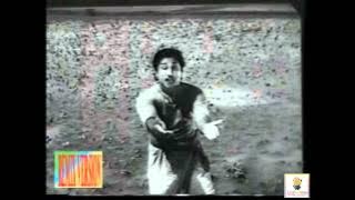 Manaparai Maadu katti Remix Song