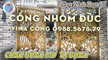Cổng Nhôm Đúc Hoa Lá Tây - Sang Trọng, Đẳng Cấp Phù Hợp Cho Mọi Công Trình