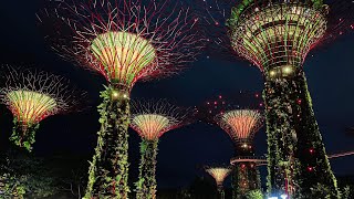 Super Tree Grove in Gardens by the Bay