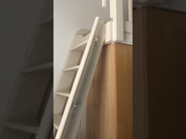 Video 1: