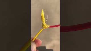 Twisting Techniques For Single-Core And Multi-Core Electrical Wires.