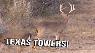Just the Hunt- SemiLive Hunting Action- Texas Towers
