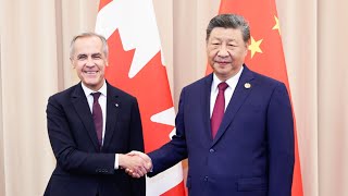 China's Xi meets Canadian PM on sidelines of APEC amid US-Canada trade tensions