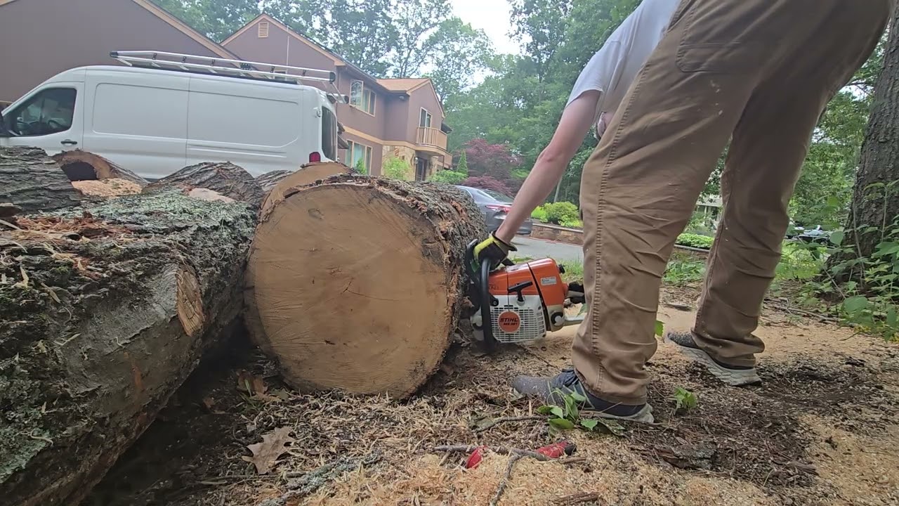 Stihl ms361 vs Makita/Dolmar 6100 (PORTED)