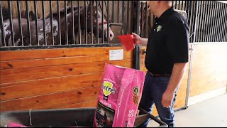 Sentinel Safe Start: Extruded Horse Feed