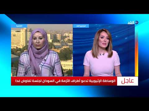 لبنى شطاب استقالة بوشارب تفتح الباب لرحيل الباءات المتبقية في الجزائر