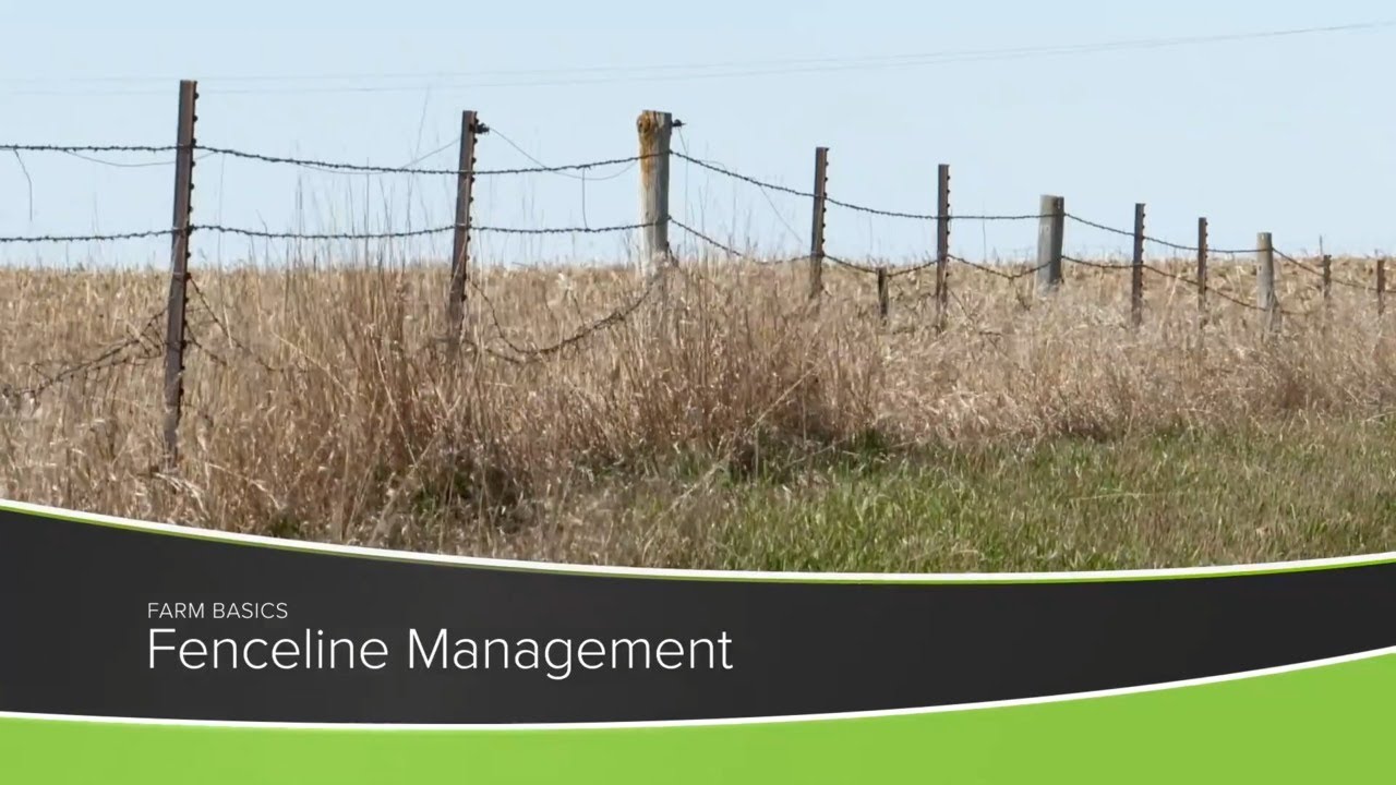 Farm Basics #1179 Fenceline Management (Air Date 11-8-20)