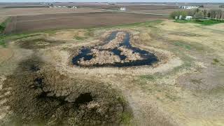Iowa DOT wetland mitigation site – Hoover Ruby Wildlife Area, Hardin County